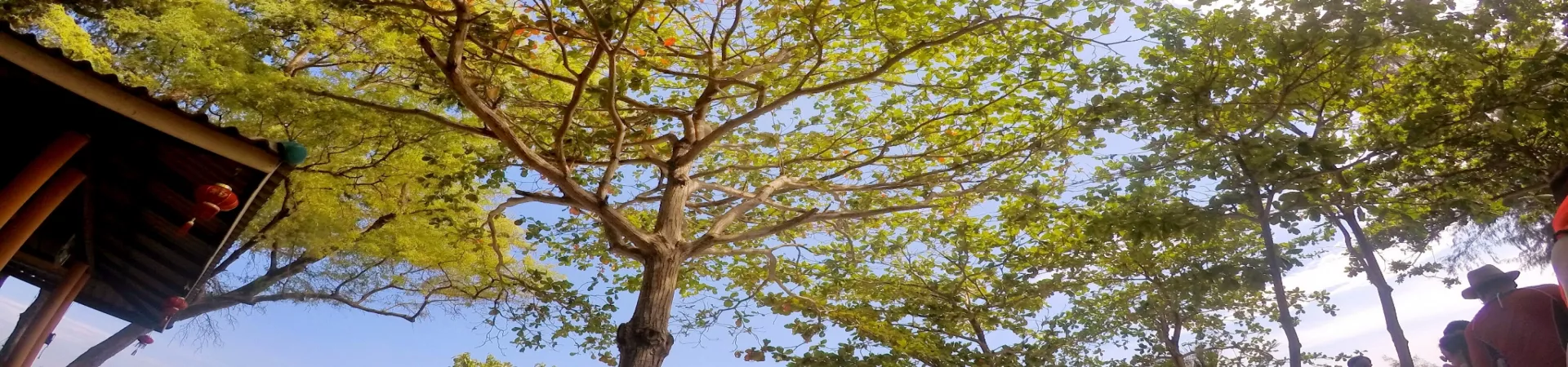 Top China Guide banner