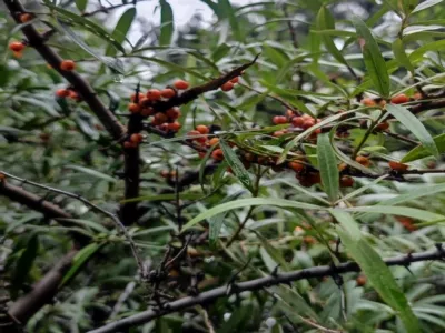 Cuifeng Mountain Natural Scenic Area