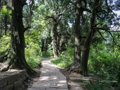 Cuiyun Corridor