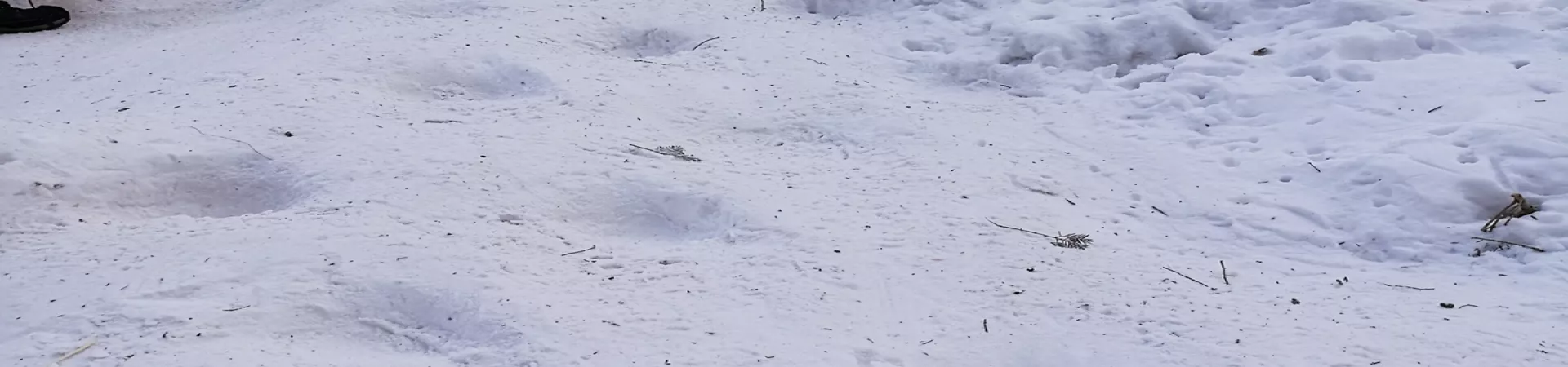 Top China Guide banner