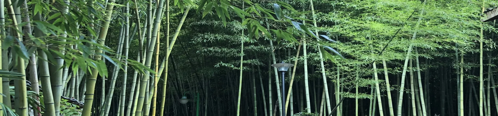 Top China Guide banner