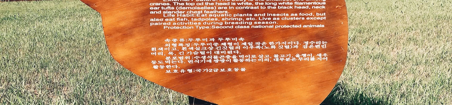 Top China Guide banner