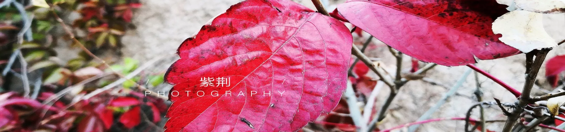 Top China Guide banner