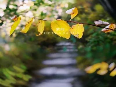 Daheishan National Forest Park