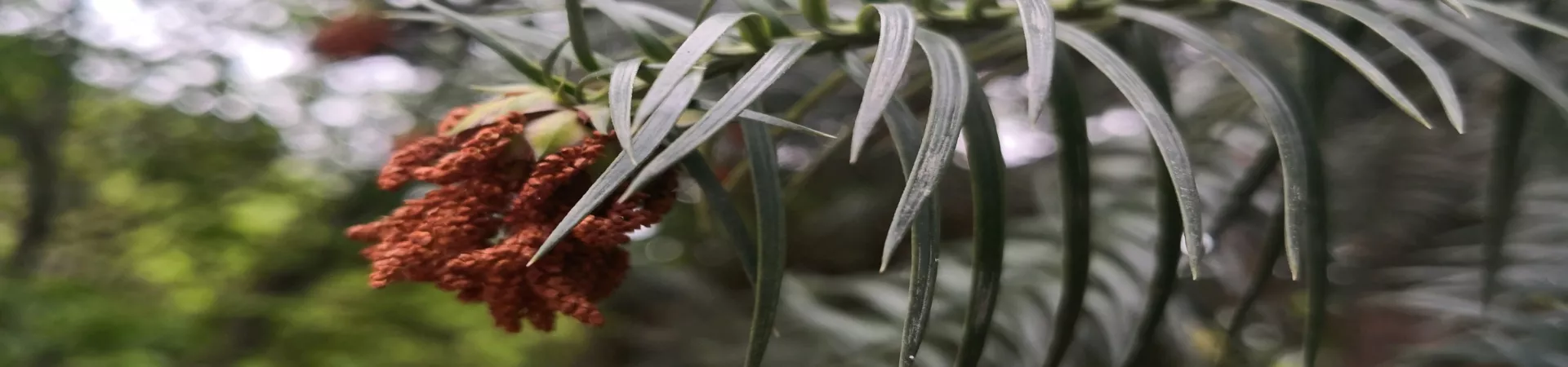 Top China Guide banner