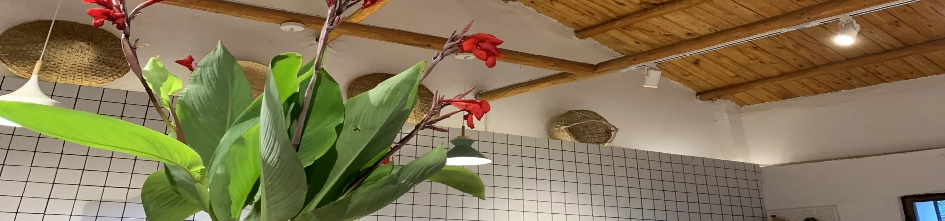 Top China Guide banner