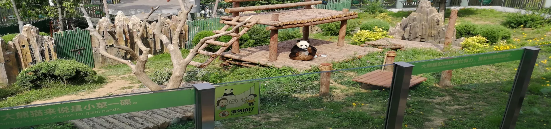 Top China Guide banner