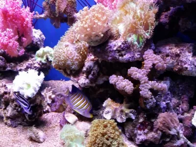 Dalian Shengya Ocean World