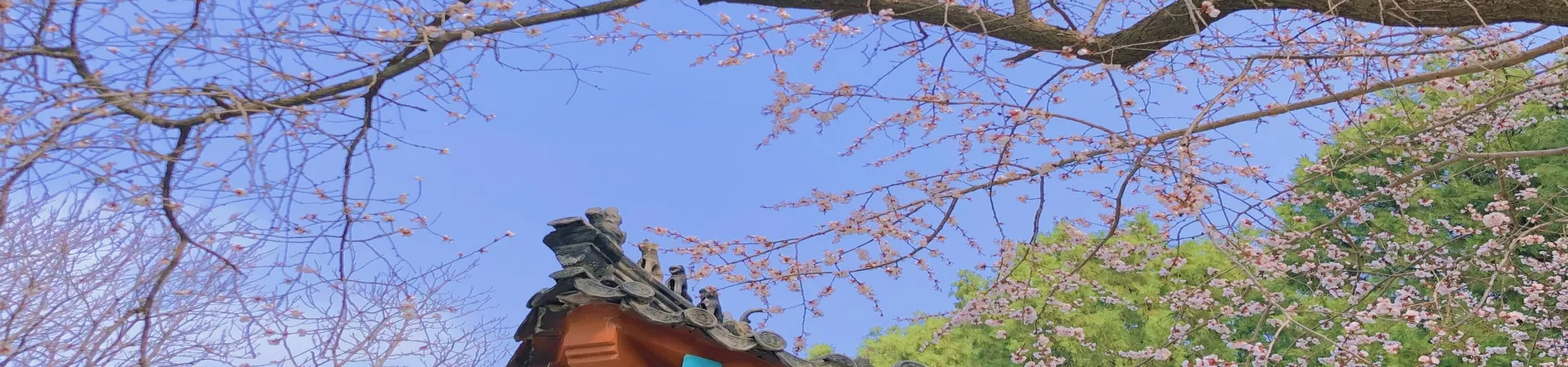 Top China Guide banner