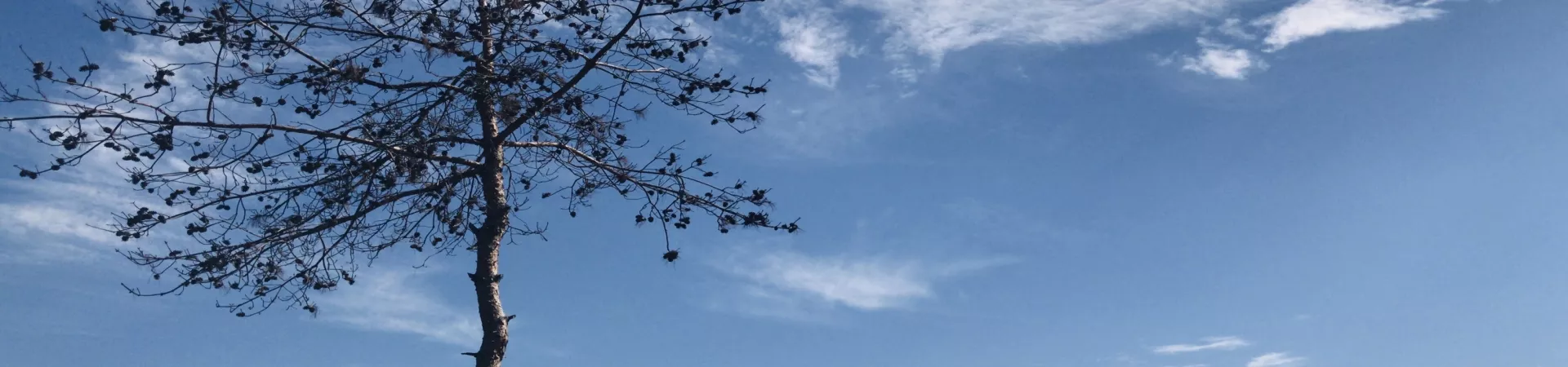 Top China Guide banner