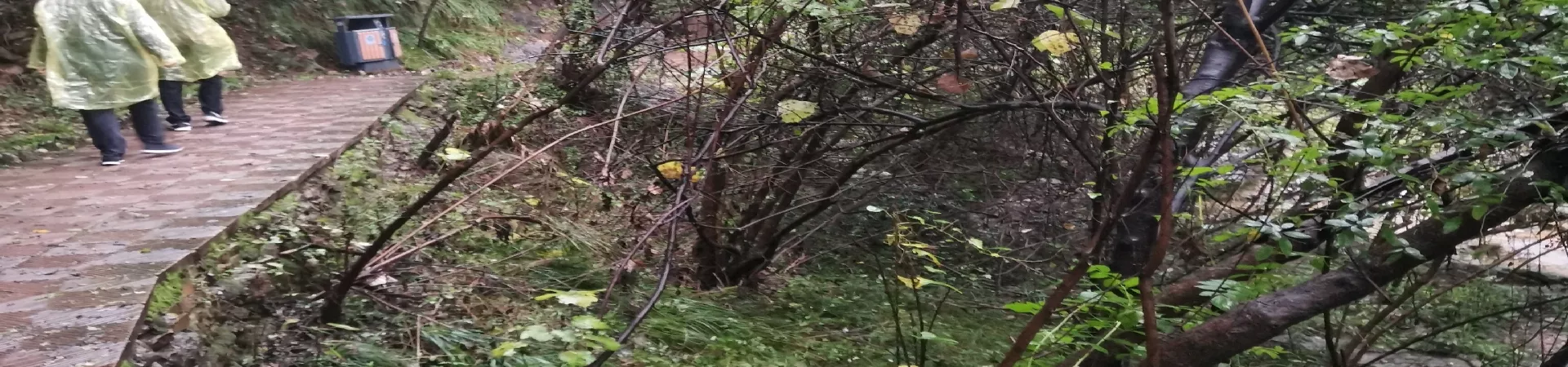 Top China Guide banner