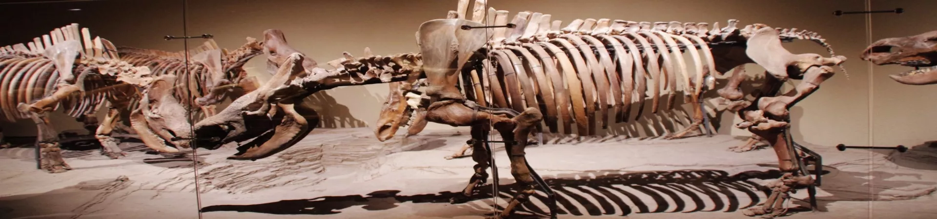 Top China Guide banner