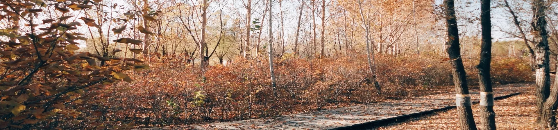 Top China Guide banner