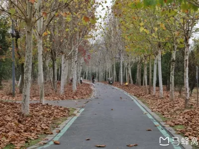 Dashushan Forest Park