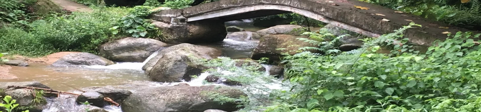 Top China Guide banner