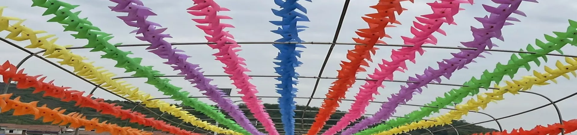 Top China Guide banner