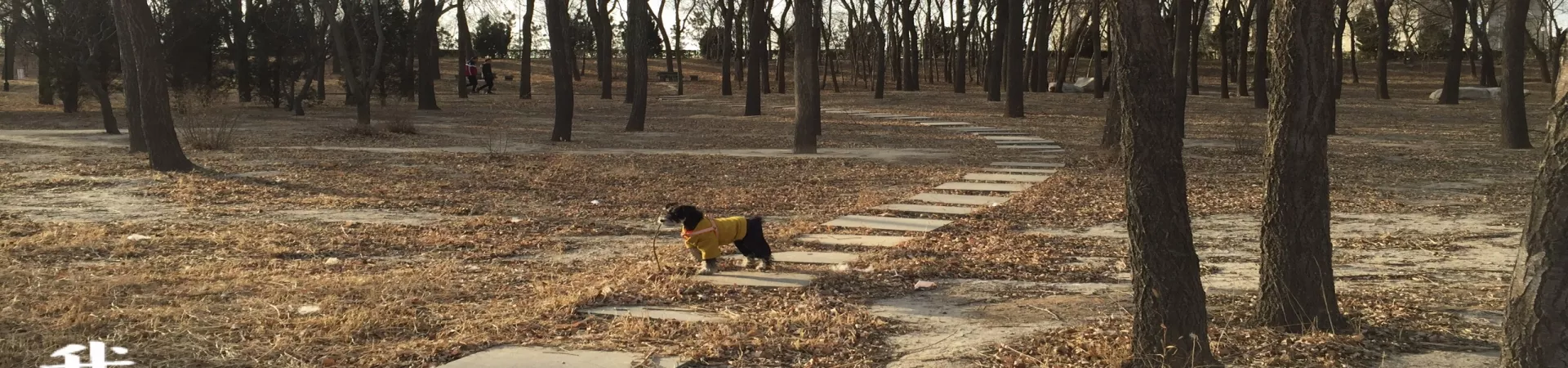 Top China Guide banner