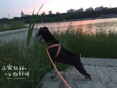 Texas Amusement Park