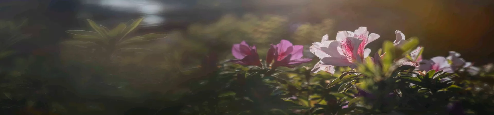 Top China Guide banner