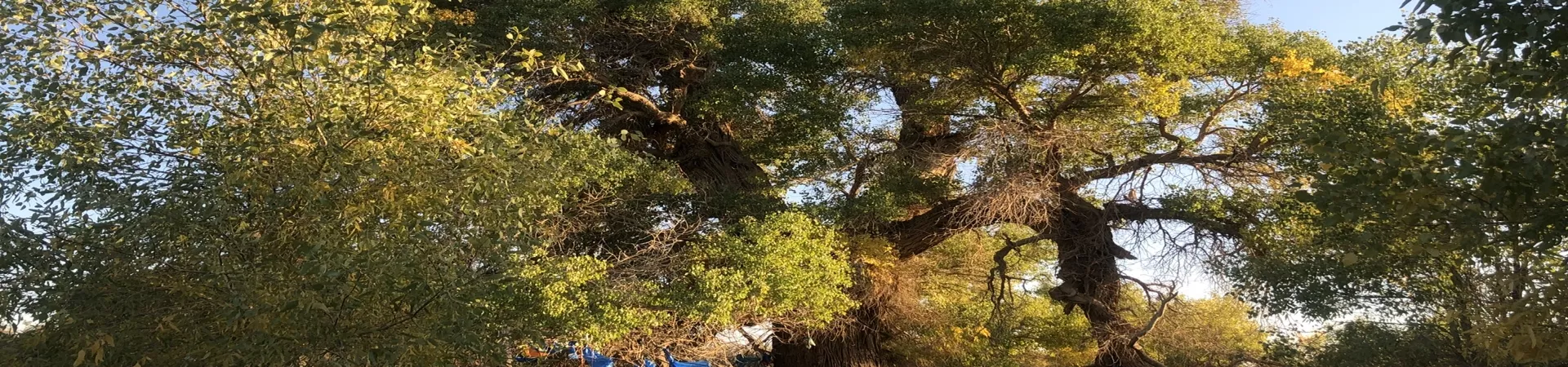 Top China Guide banner