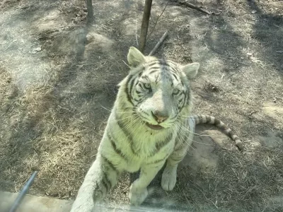 Puyang Dongbei Village Wildlife Park