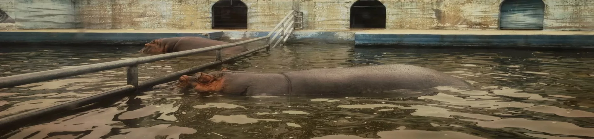 Top China Guide banner