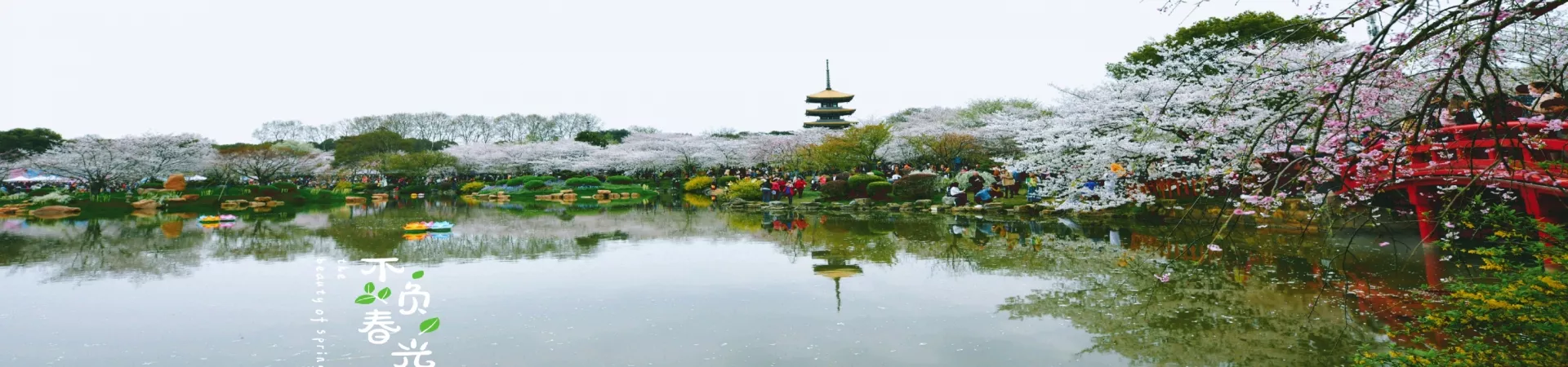 Top China Guide banner