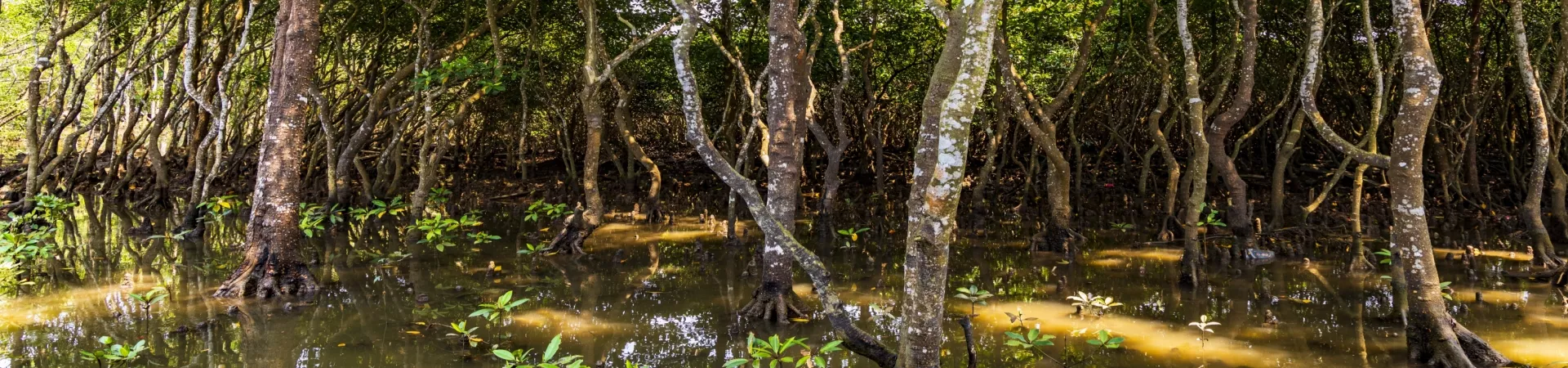 Top China Guide banner