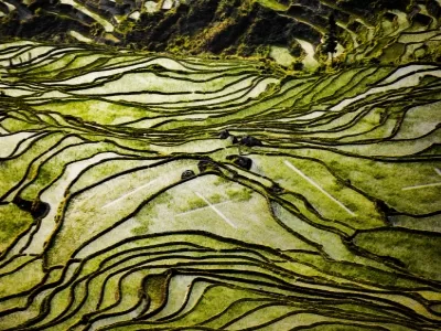 Cultural Landscape of Duoyishu Rice Terraces