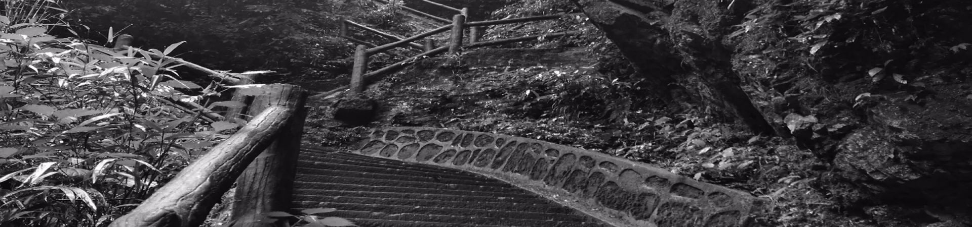 Top China Guide banner