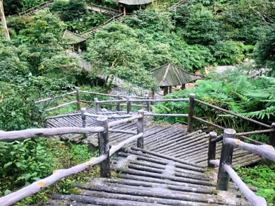 Natural ecological monkey area