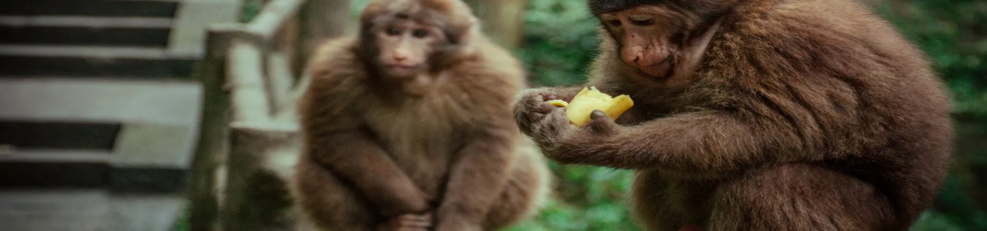 Top China Guide banner