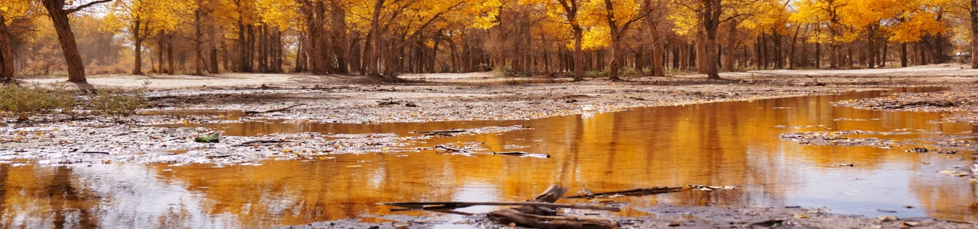 Top China Guide banner