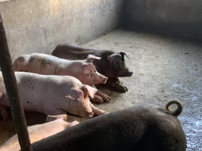 Erlong Lake Scenic Area