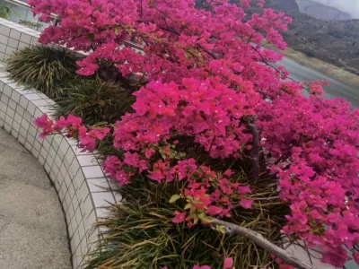 Ertan Observation Platform