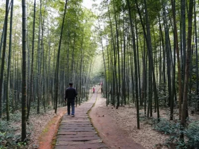Shunan Bamboo Sea - Fairy Lake