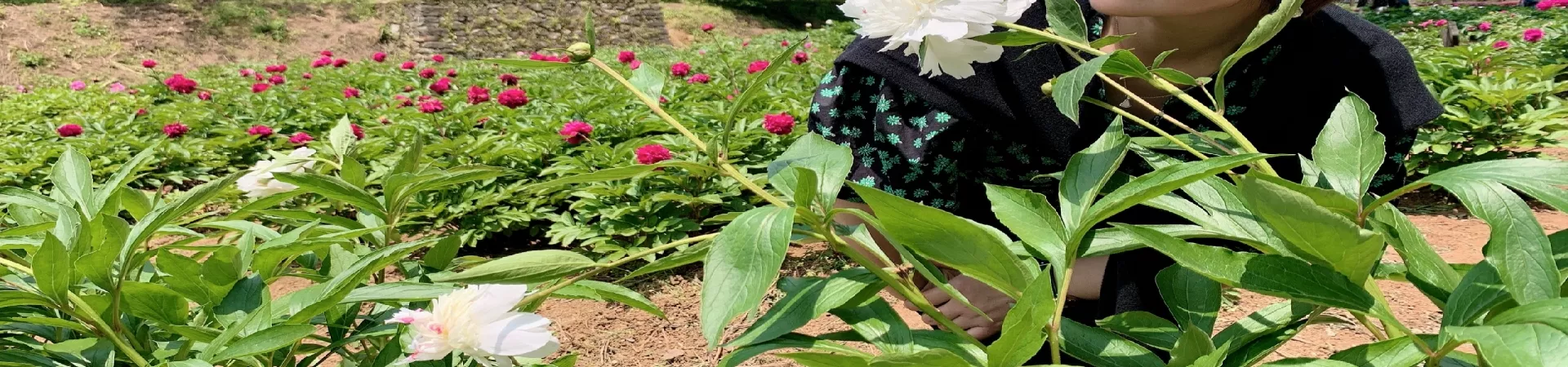 Top China Guide banner