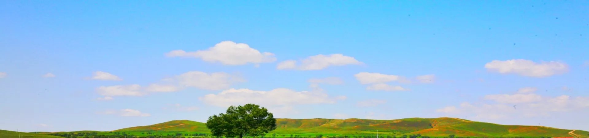 Top China Guide banner