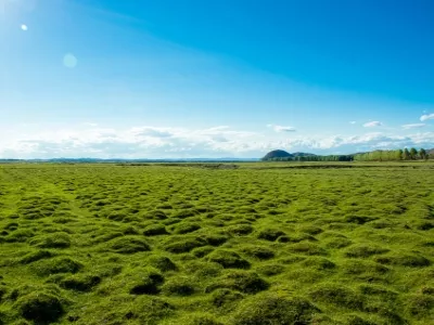 Fengning Bashang Grassland