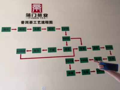 Fengqing Tea Mountain