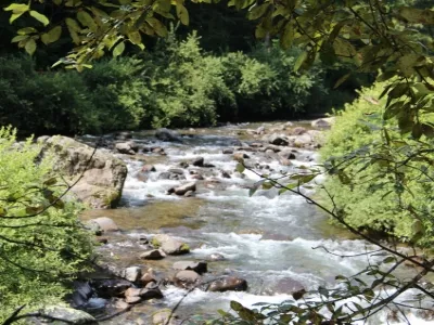 Fifteen Dao Gou Viewing Swan Natural Scenic Area
