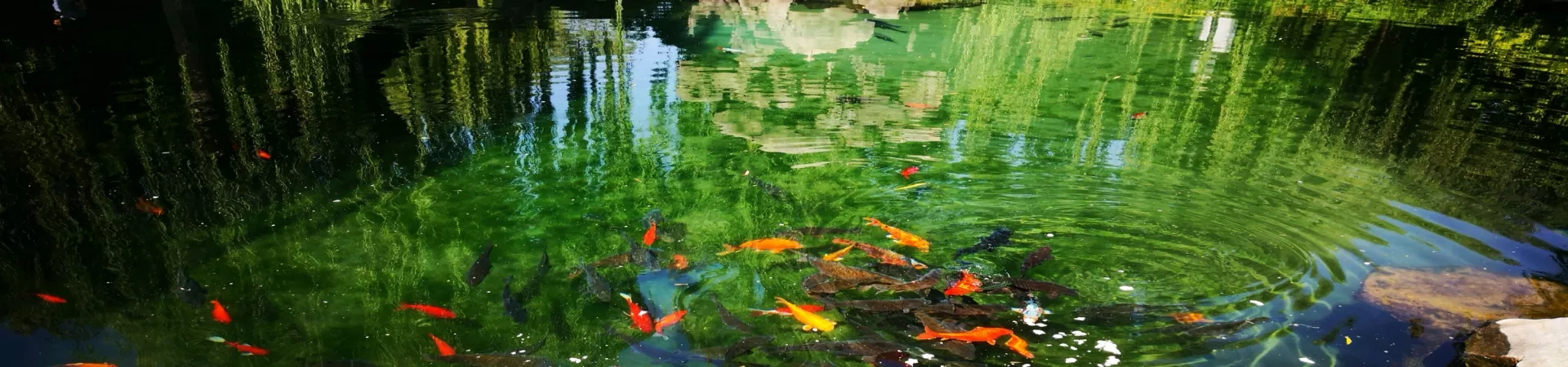 Top China Guide banner