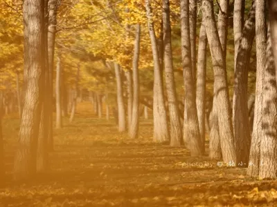 Linzi Football Museum 