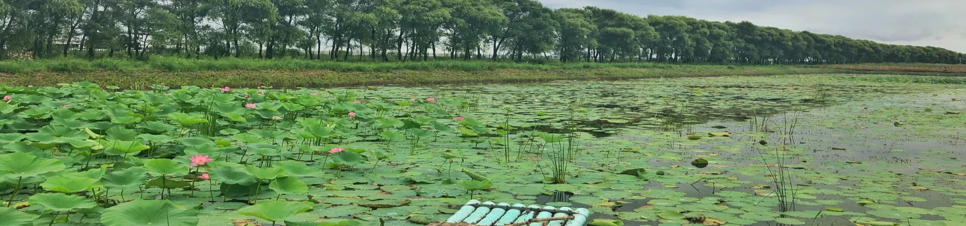 Top China Guide banner