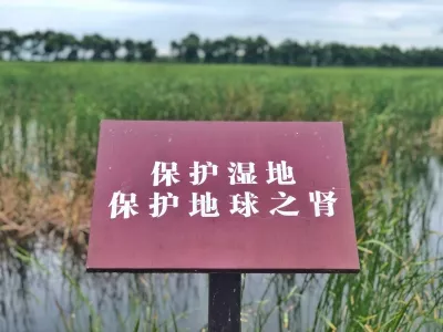 Fujin National Wetland Park