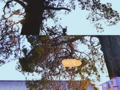 Fuqiu Mountain Scenic Area