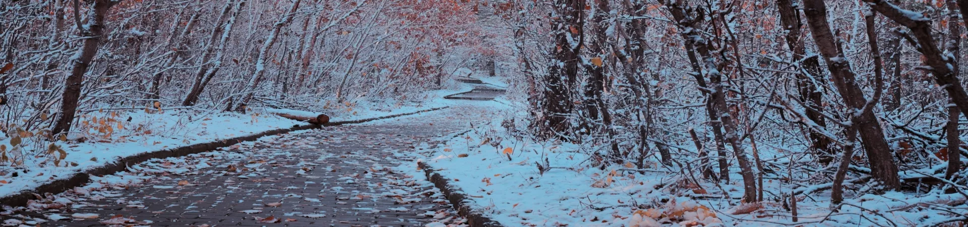 Top China Guide banner