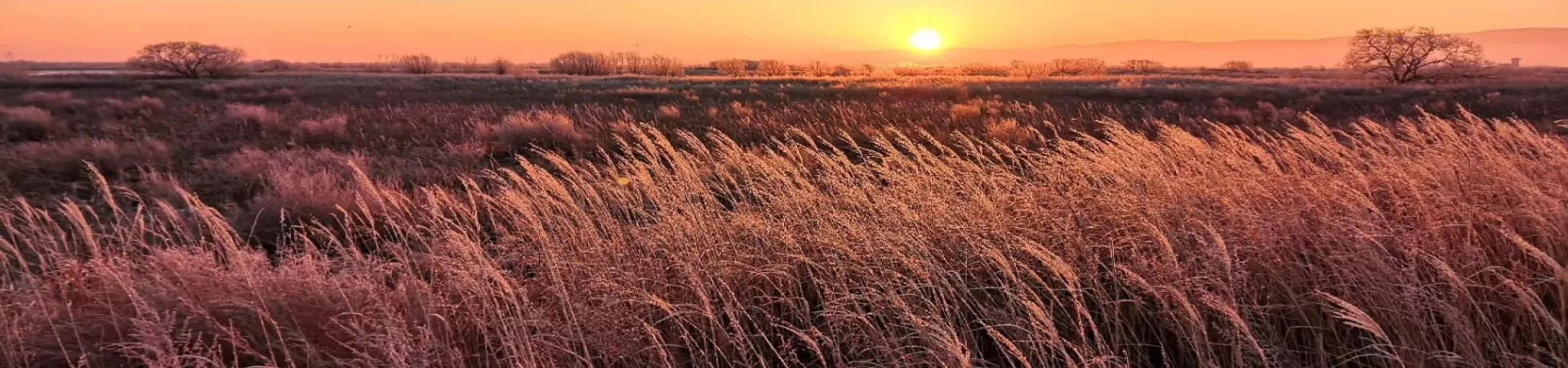 Top China Guide banner