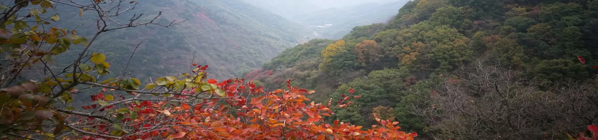 Top China Guide banner