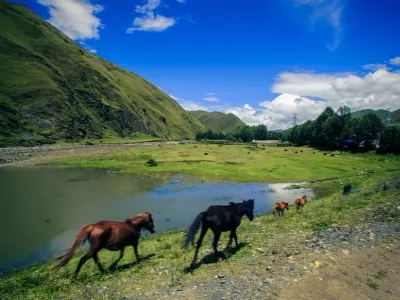 Xindu Bridge